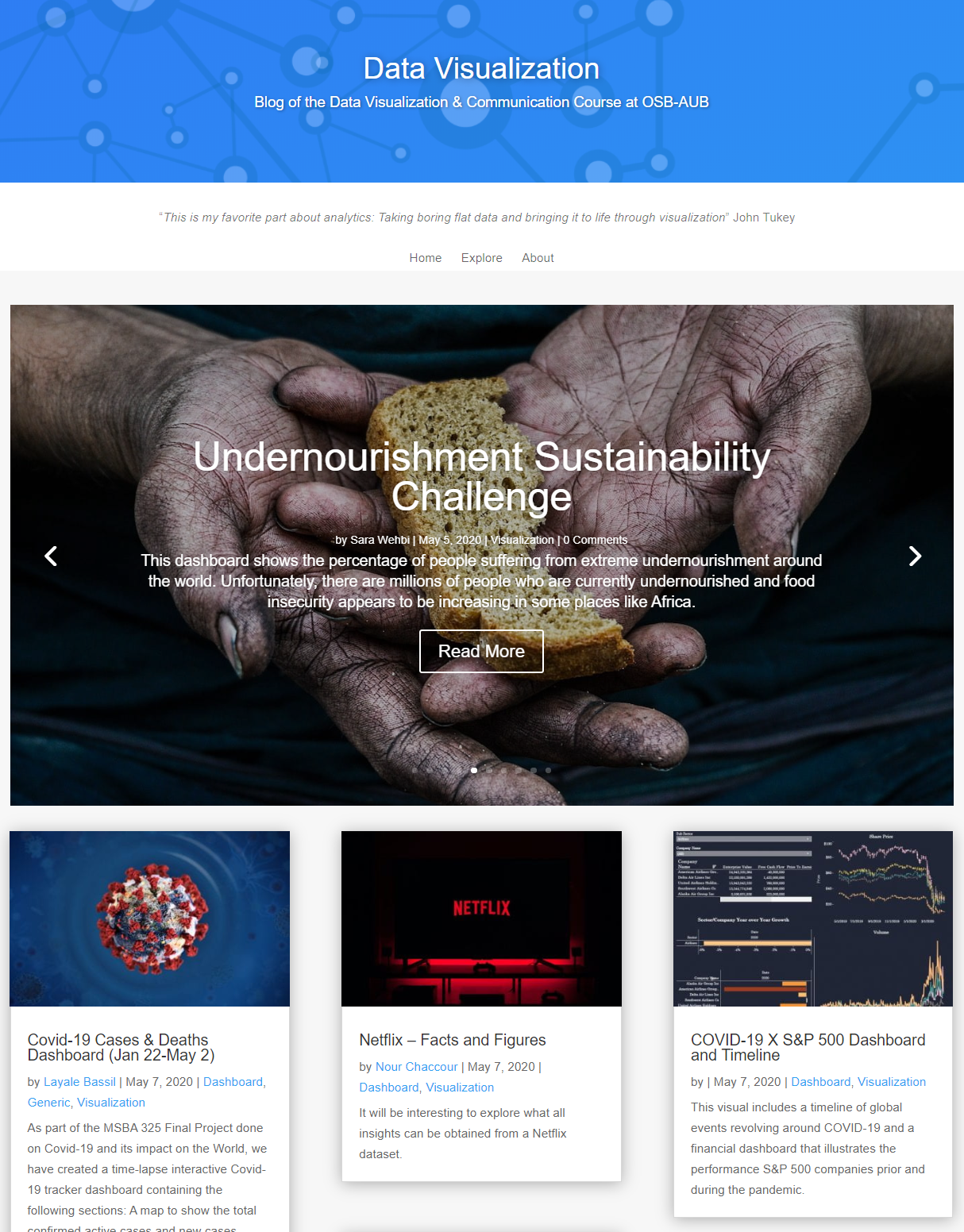 Data Visualization Website